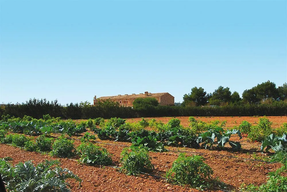 Agroturism Son Terrades Hotel Santa Maria del Cami  3*, Santa Maria del Cami (Mallorca) Spain